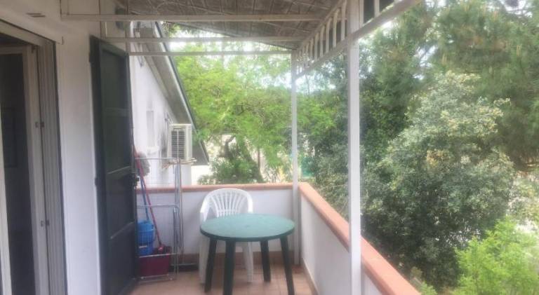 Vacation home | Dogs allowed — photo 4
