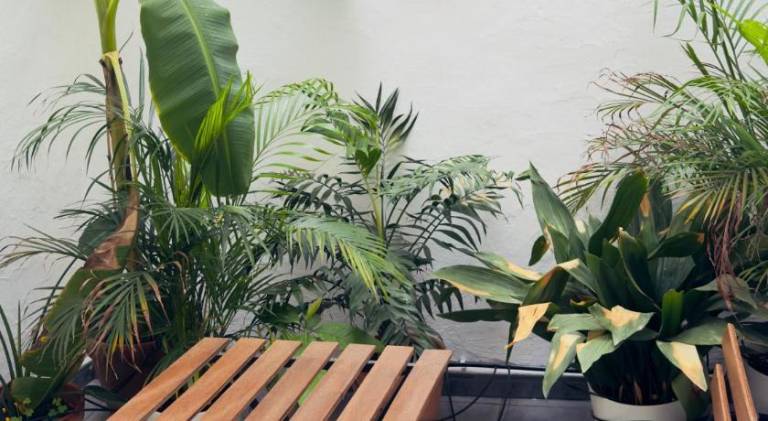 Wonderful rental apartment with patio | Next to Mosque–Cathedral of Córdoba | Pets are welcome in Córdoba