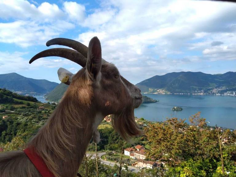 Agriturismo Lago d'Iseo
