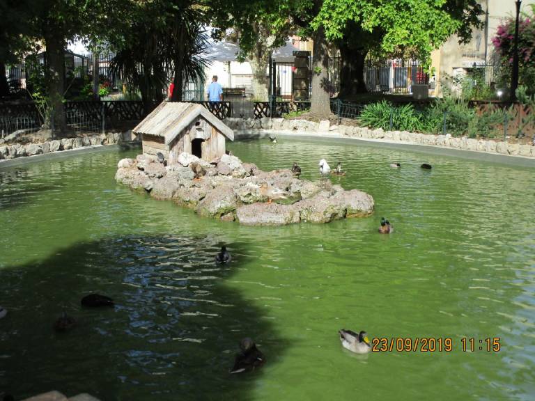 foto18