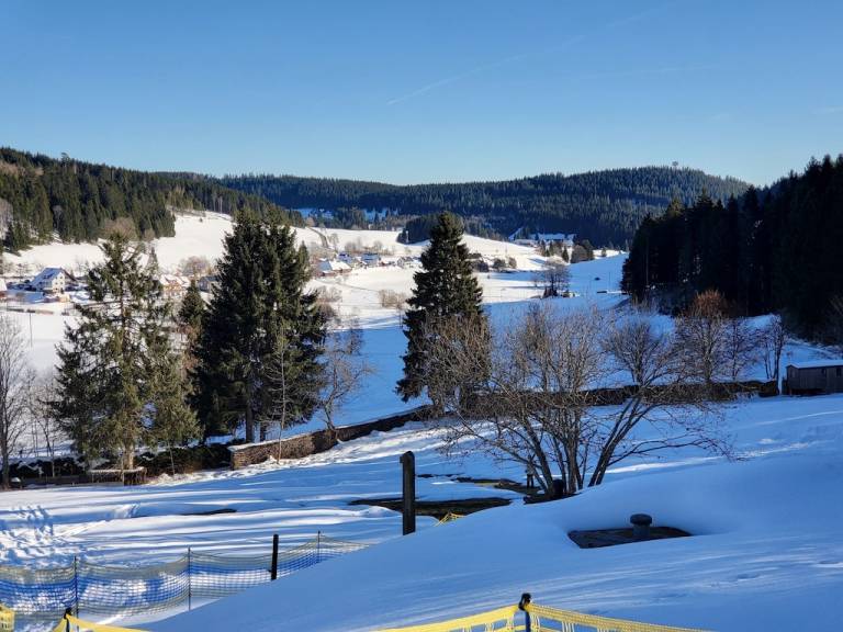 Ferienwohnung Schluchsee