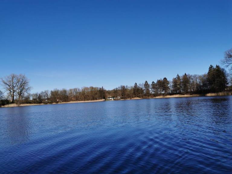 foto35
