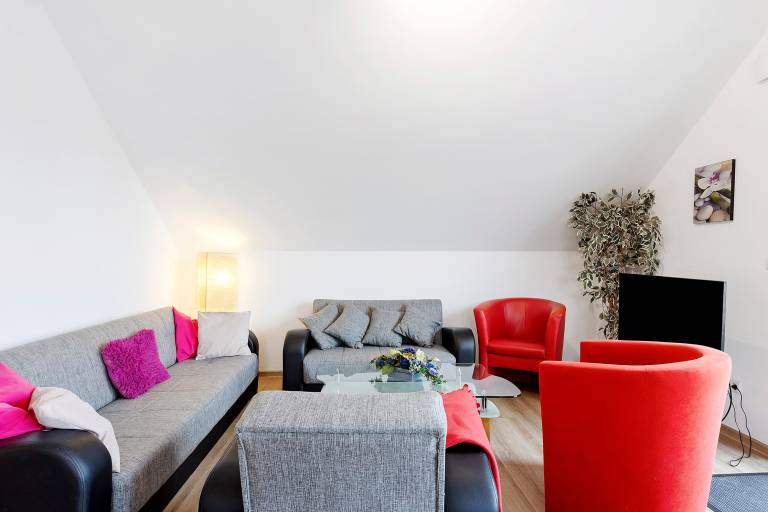 Lovely apartment | Pets are welcome — photo 3