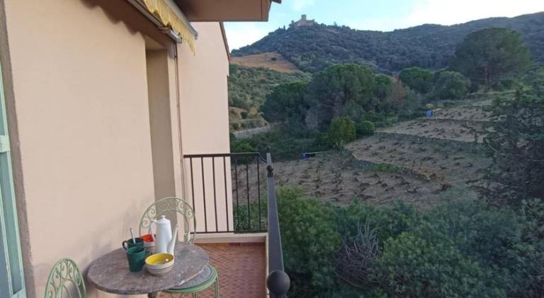 Holiday apartment with pool | Next to the beach | Pets allowed in Collioure