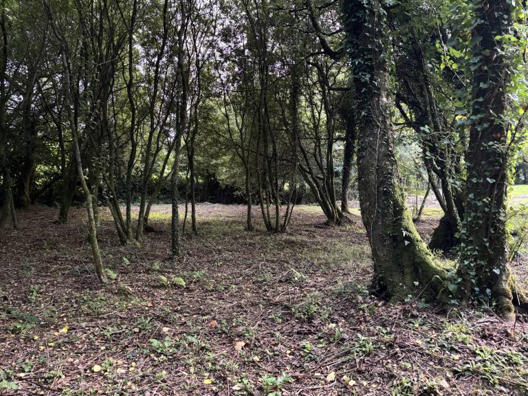 foto19