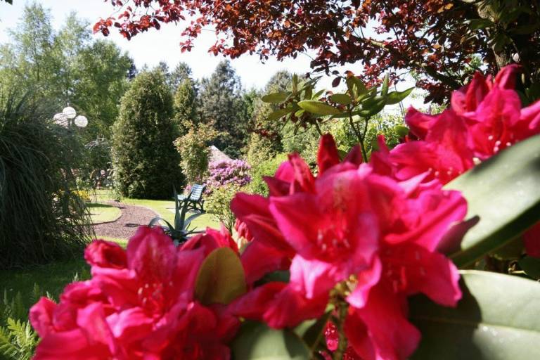 foto18