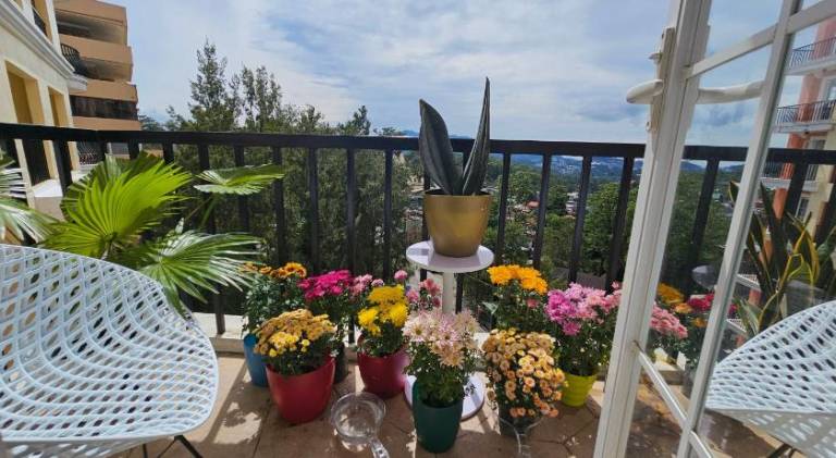 Nice serviced apartment with terrace | Pets are welcome — photo 4
