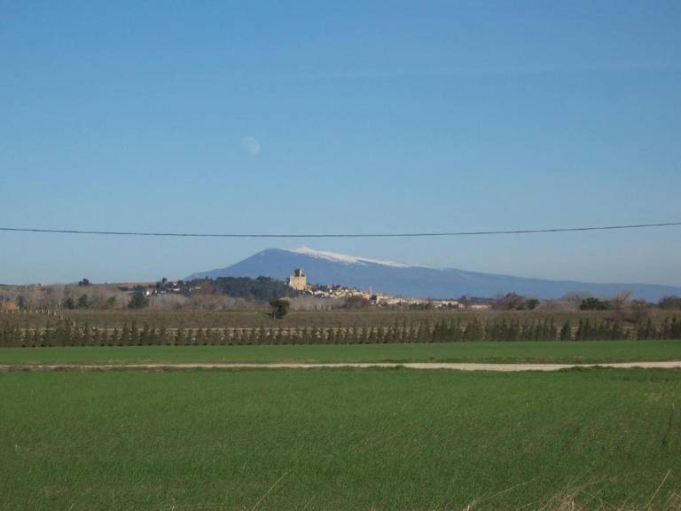 foto41