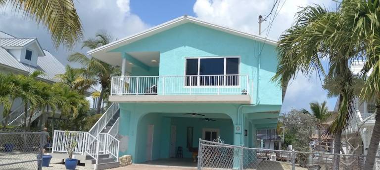 Apartment  Jewfish