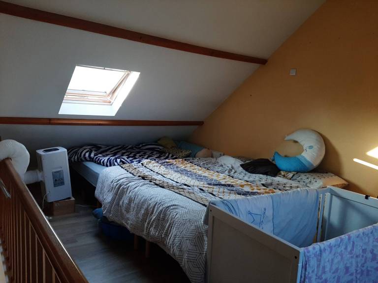 foto11