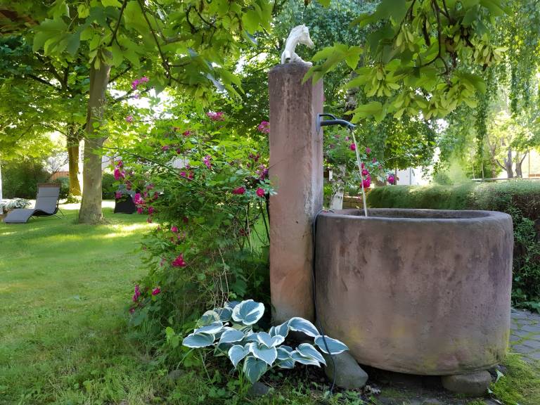 foto36
