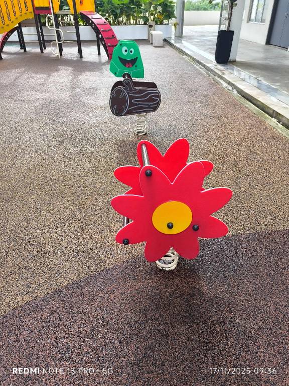 foto11