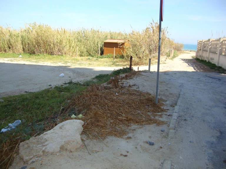 foto30