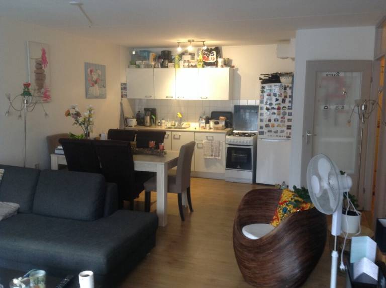 foto3