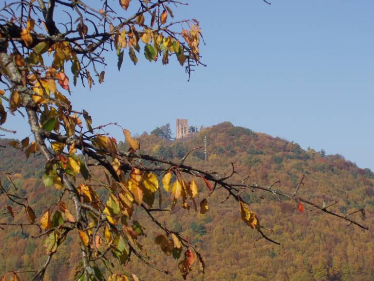 foto17