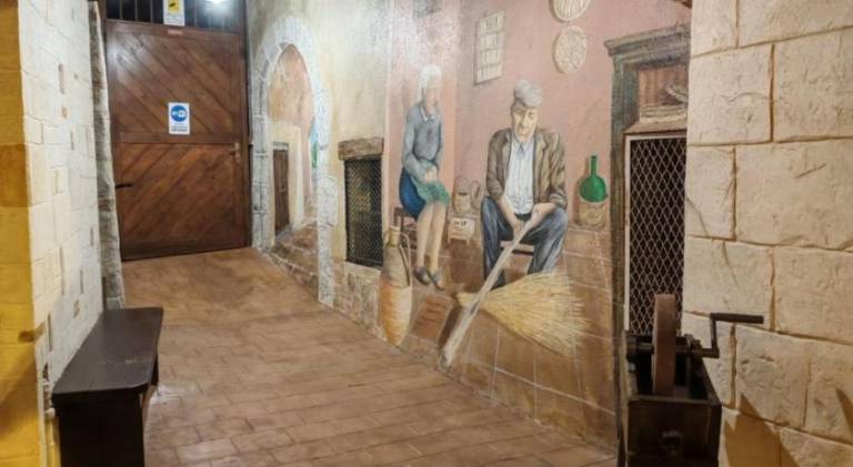 Holiday apartment with 1 room for 4 persons — photo 3