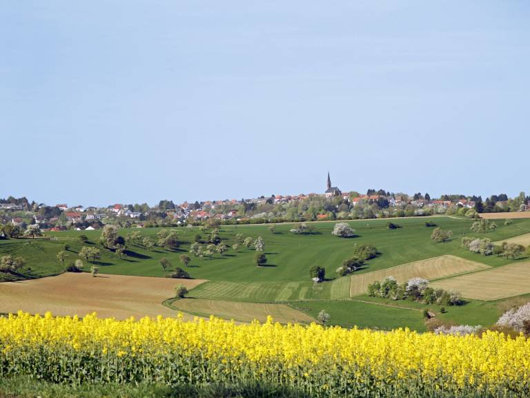 foto16