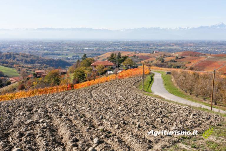 Camera privata Belvedere Langhe