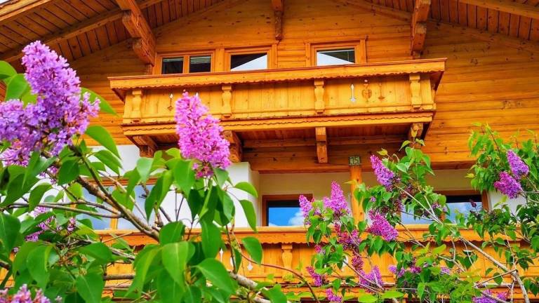 Ferienhaus mit Hund in Hochfilzen für max. 12 Personen Ferienhaus mit Hund in Hochfilzen für max. 12 Personen