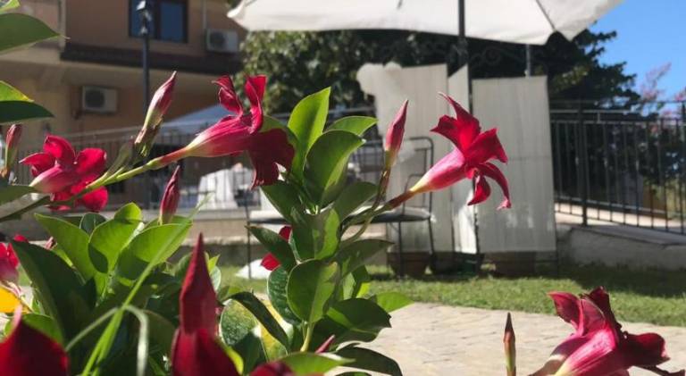 foto16