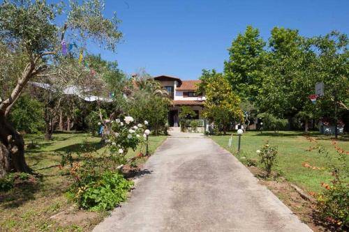 Wonderful villa with huge yard at Potamos beach