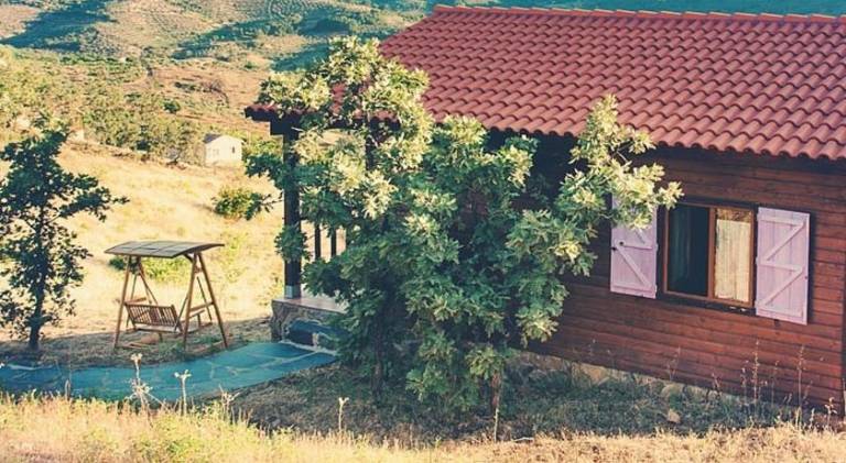 House with pool | Suitable for remote work | Pet-friendly — photo 4