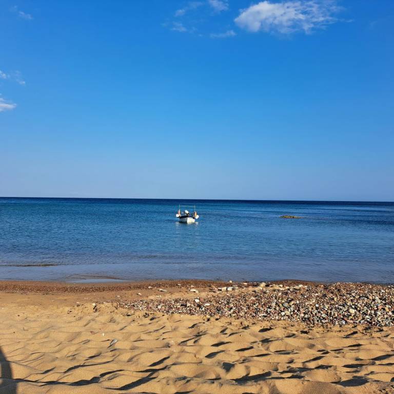 foto41