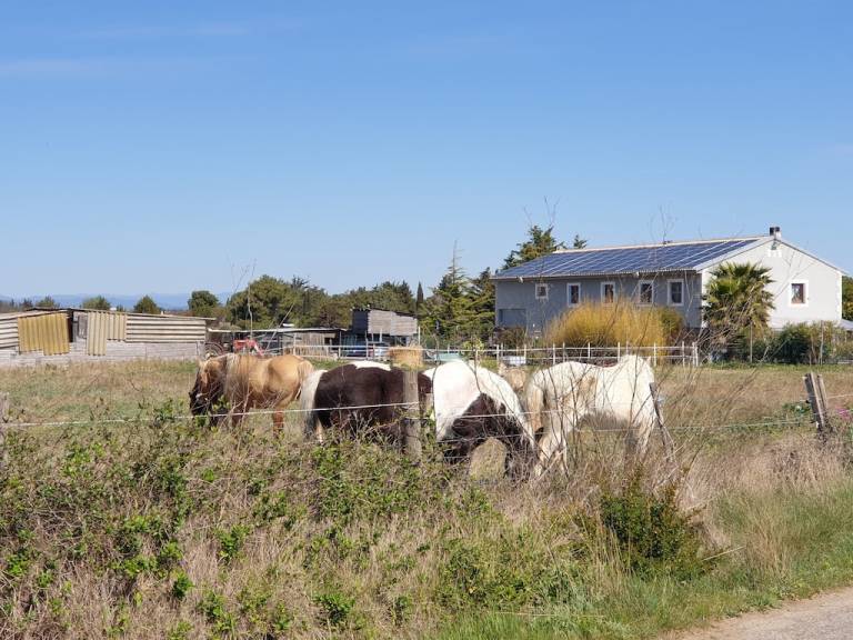 Cottage  Villeneuve-lès-Maguelone