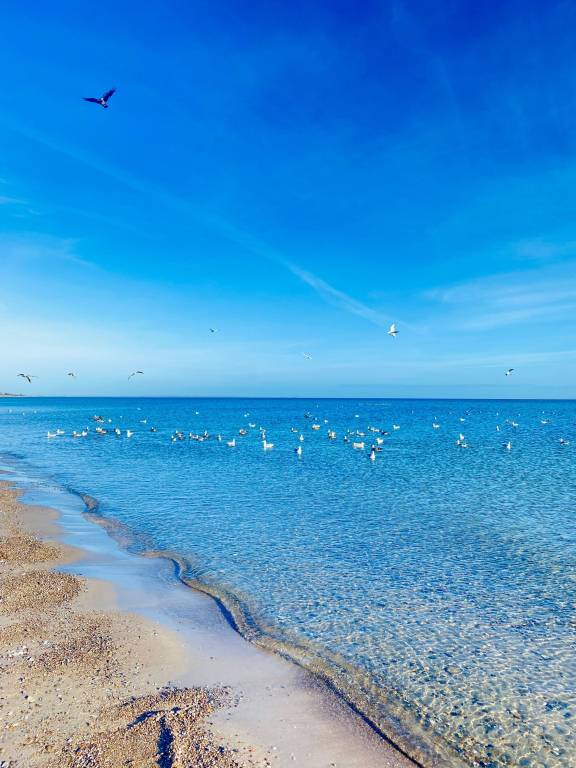 Ferienwohnung Maasholm-Bad