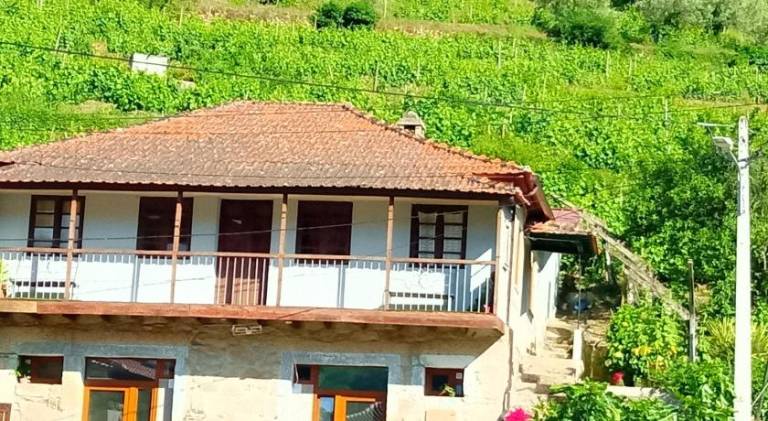 House with patio & yard | Pets are welcome in Viseu
