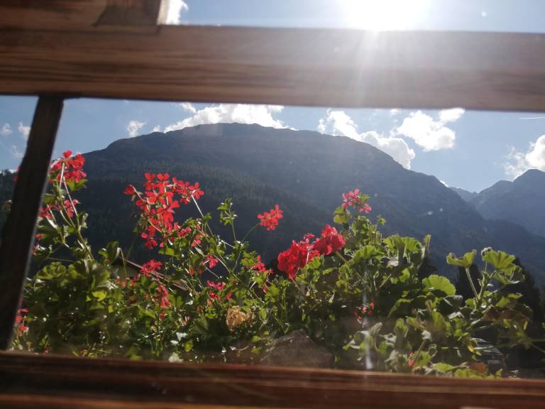 foto17