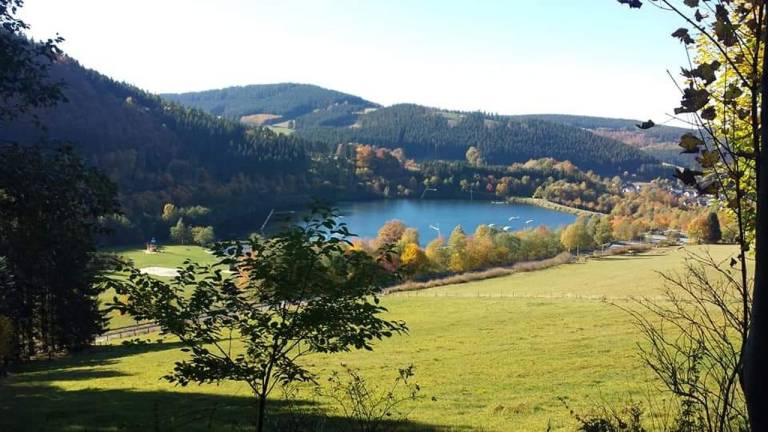 Ferienwohnung Niedersfeld