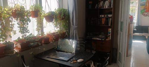 foto14