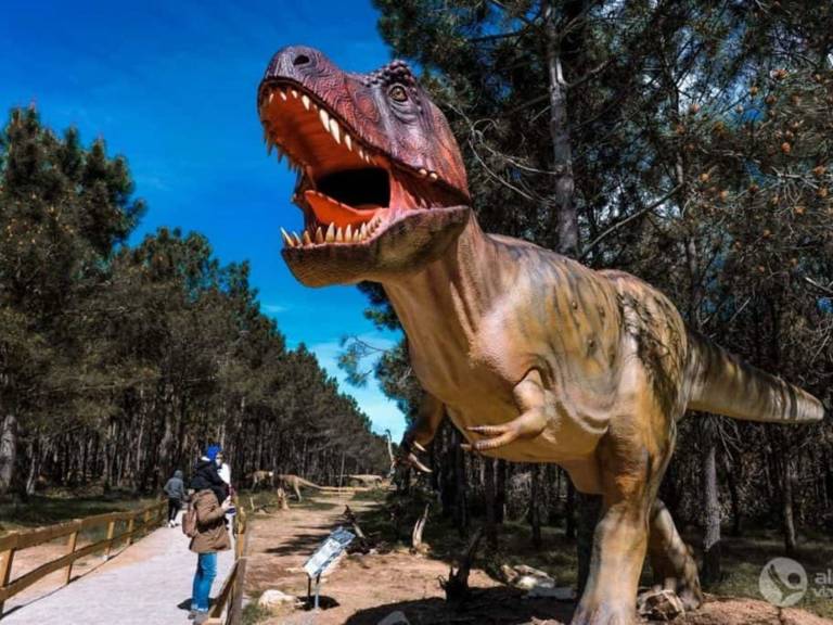 foto54