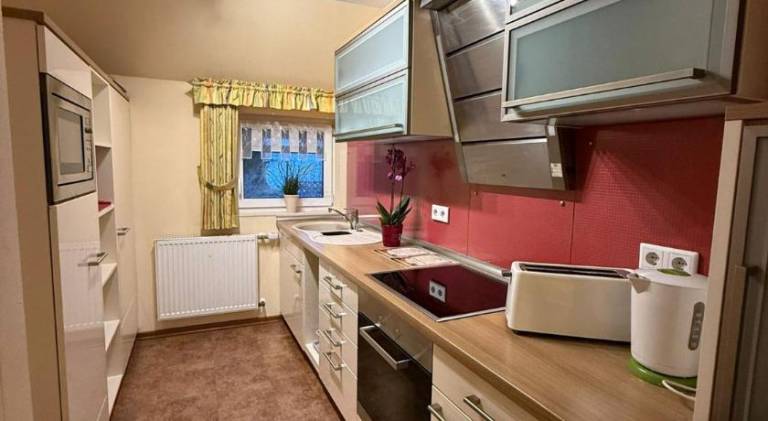 Serviced apartment with yard — photo 3