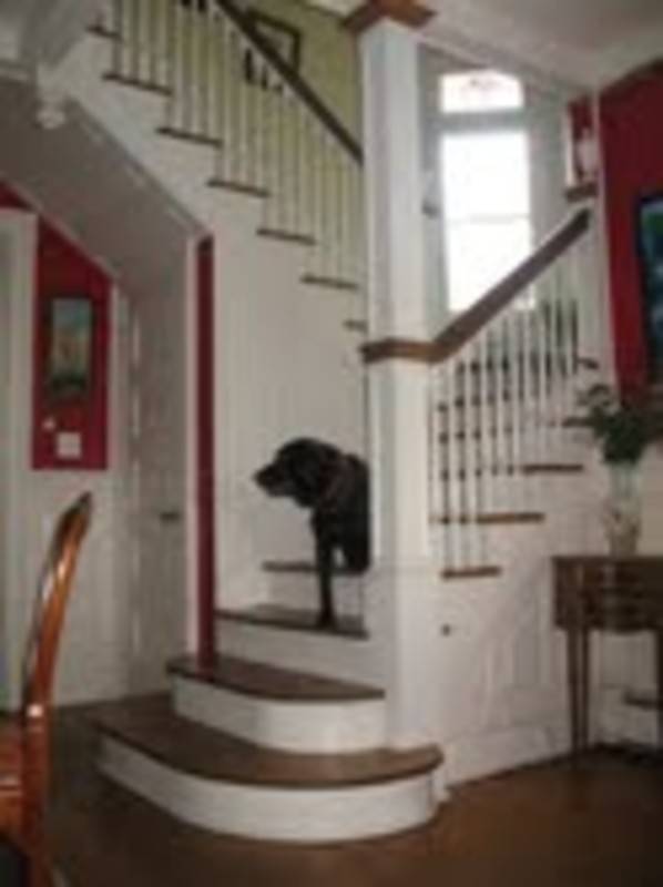 foto6