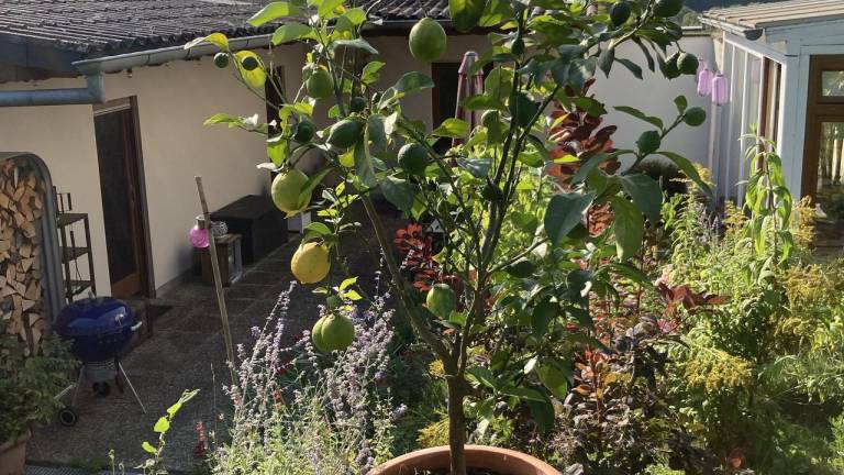 foto44