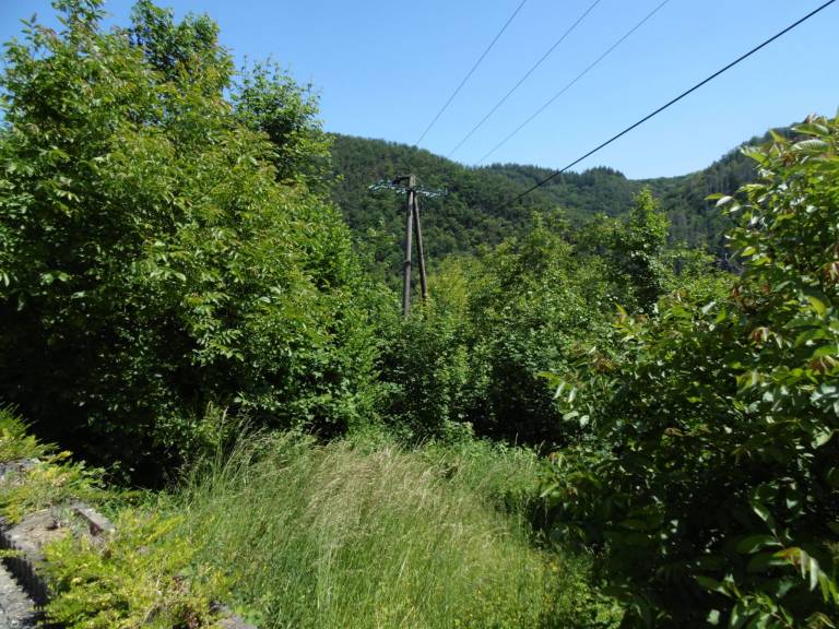 foto10