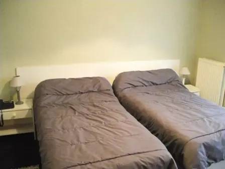 Apartment | Pets are welcome — photo 2