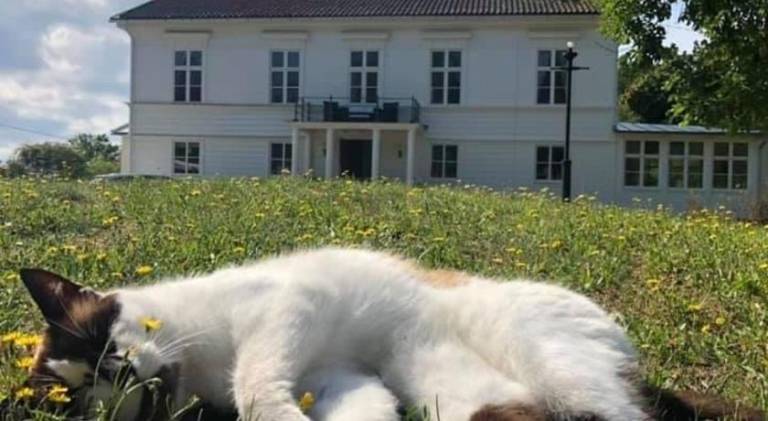 Amiralsgarden Verstorp in Karlskrona