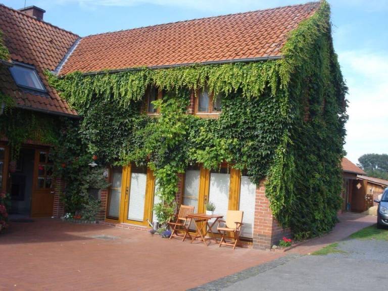 foto19