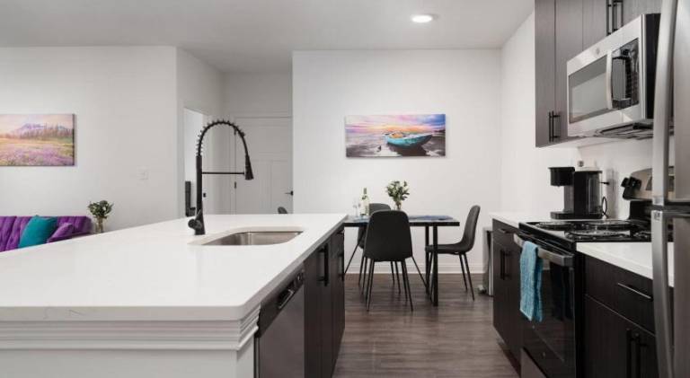 Purple Rain Spacious 2BR 2BA 2 King Beds Gym WFH — photo 3