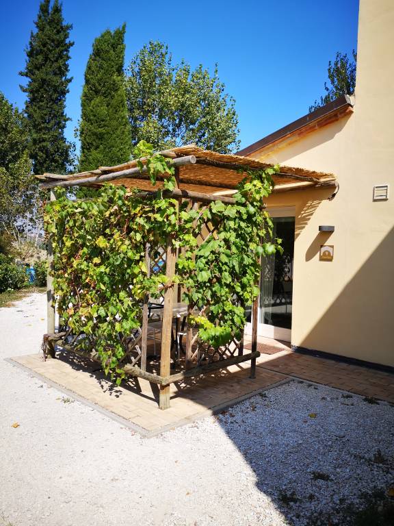 Tenuta San Marcello: Coquillage — photo 5