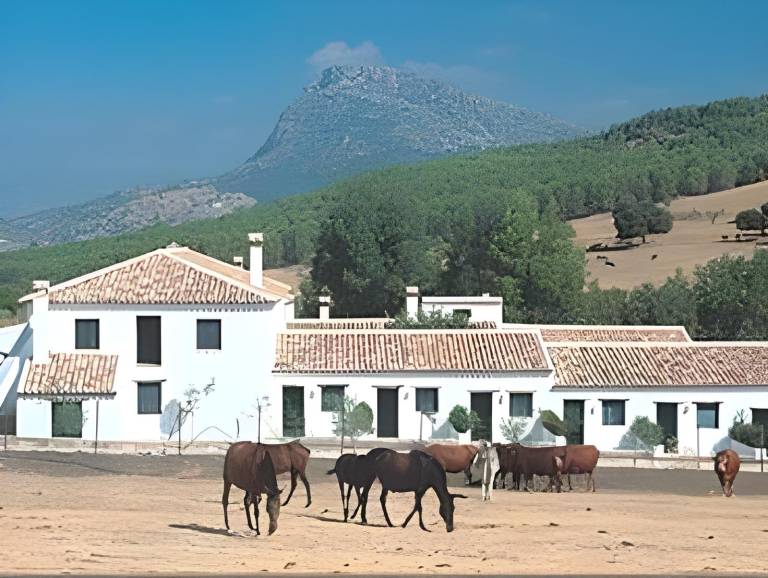 Hotel Rural El Horcajo de Ronda in Ronda