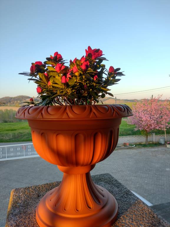 foto17