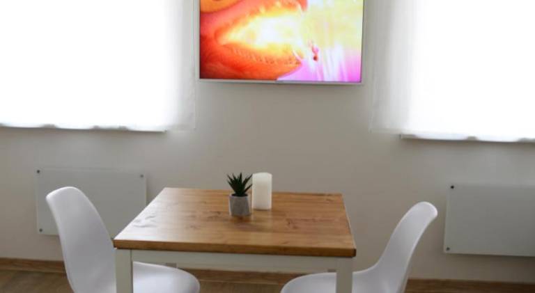 Nice apartment | Dogs allowed in Klaipeda