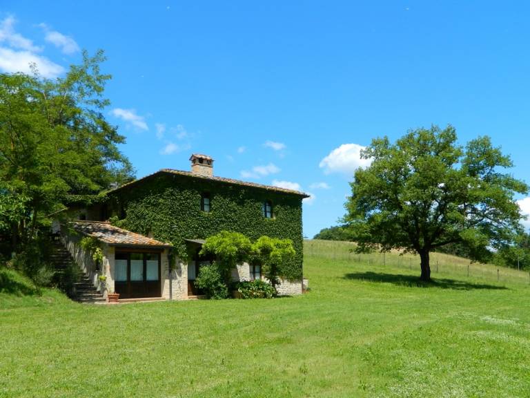 Tolles Ferienhaus mit Grill und privatem Pool | Haustiere erlaubt
