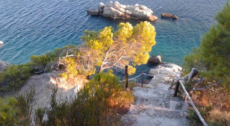 Rental apartment with 2 rooms for 5 persons — photo 4