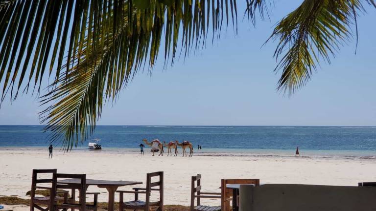 Villa  Diani Beach