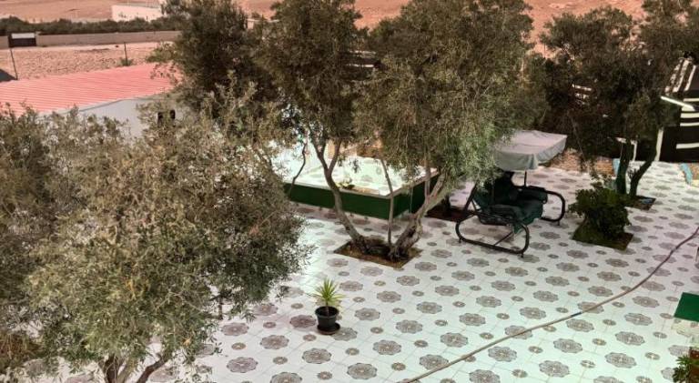 Tent with patio & garden — photo 5